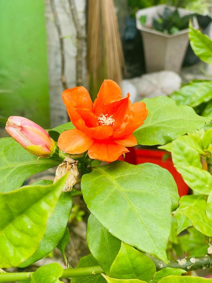 Motel Tuan Phuong Da Nang Zewnętrze zdjęcie